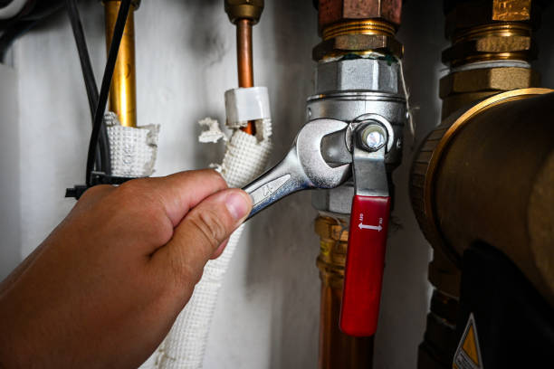 Best Plumbing Services Near Me  in Tripoli, IA